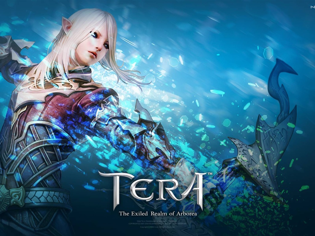 Fonds d'écran Tera jeux HD #12 - 1024x768