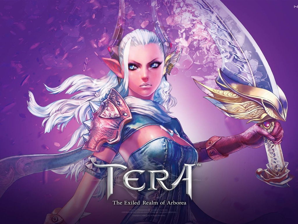 Fonds d'écran Tera jeux HD #18 - 1024x768