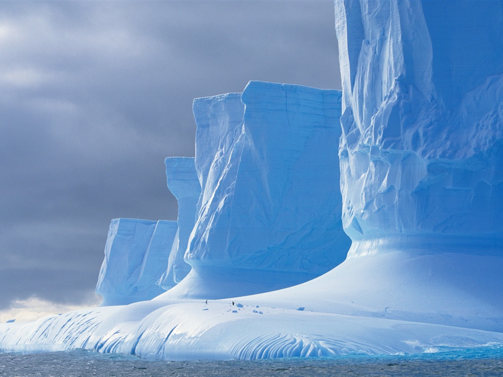 Windows 8 壁纸：南极洲，冰雪风景，南极企鹅5 - 1024x768