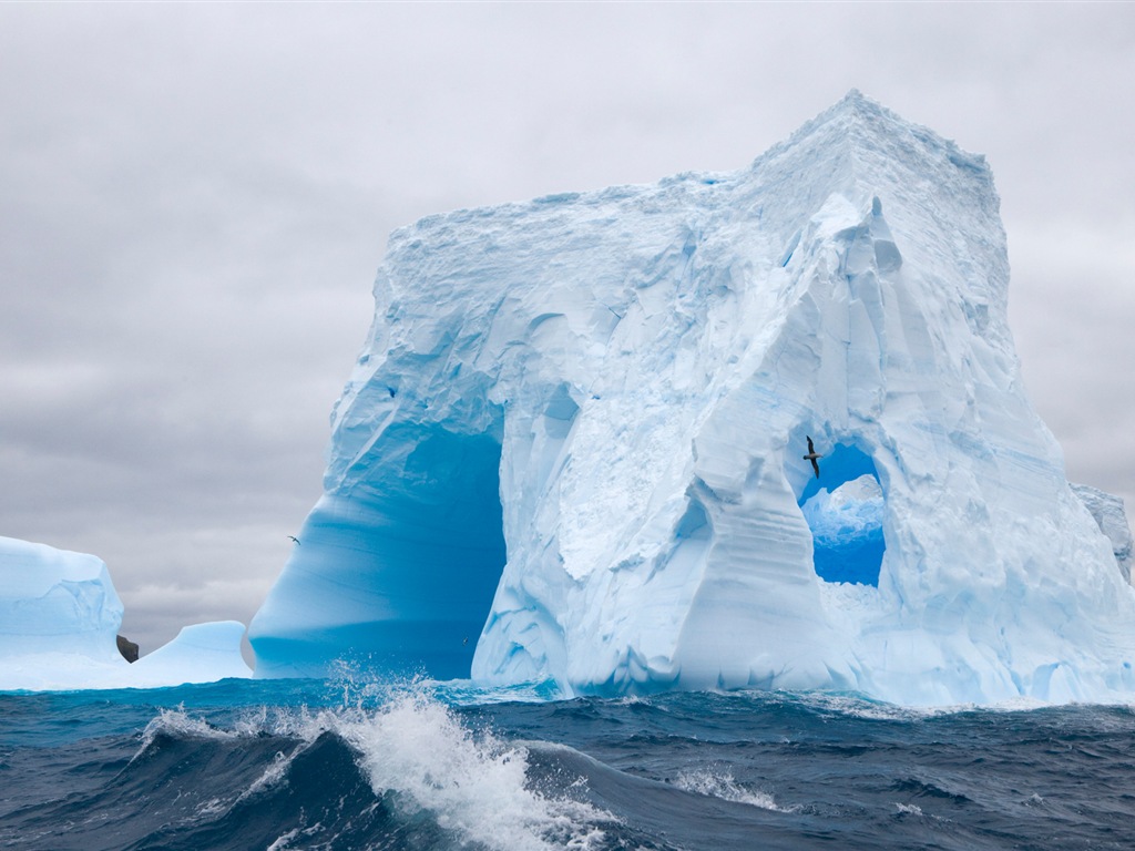 Windows 8 壁纸：南极洲，冰雪风景，南极企鹅7 - 1024x768