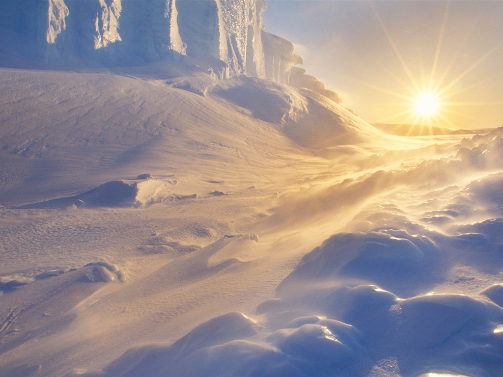 Windows 8 壁纸：南极洲，冰雪风景，南极企鹅9 - 1024x768
