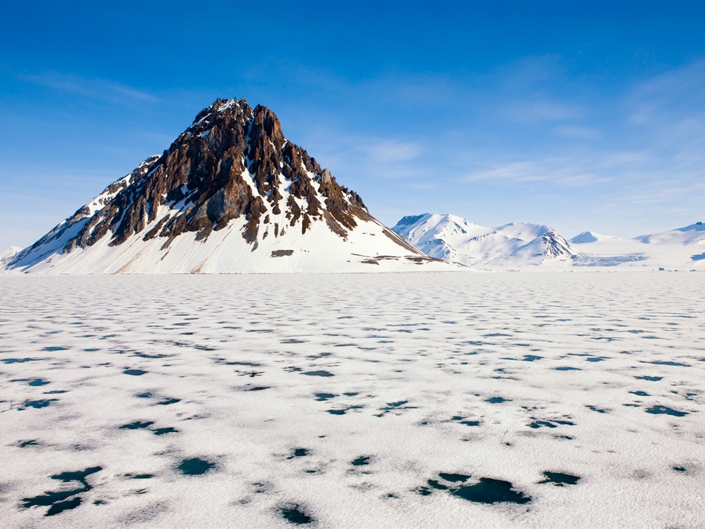윈도우 8 배경 화면 : 북극의 자연 생태 경관, 북극 동물 #1 - 1024x768