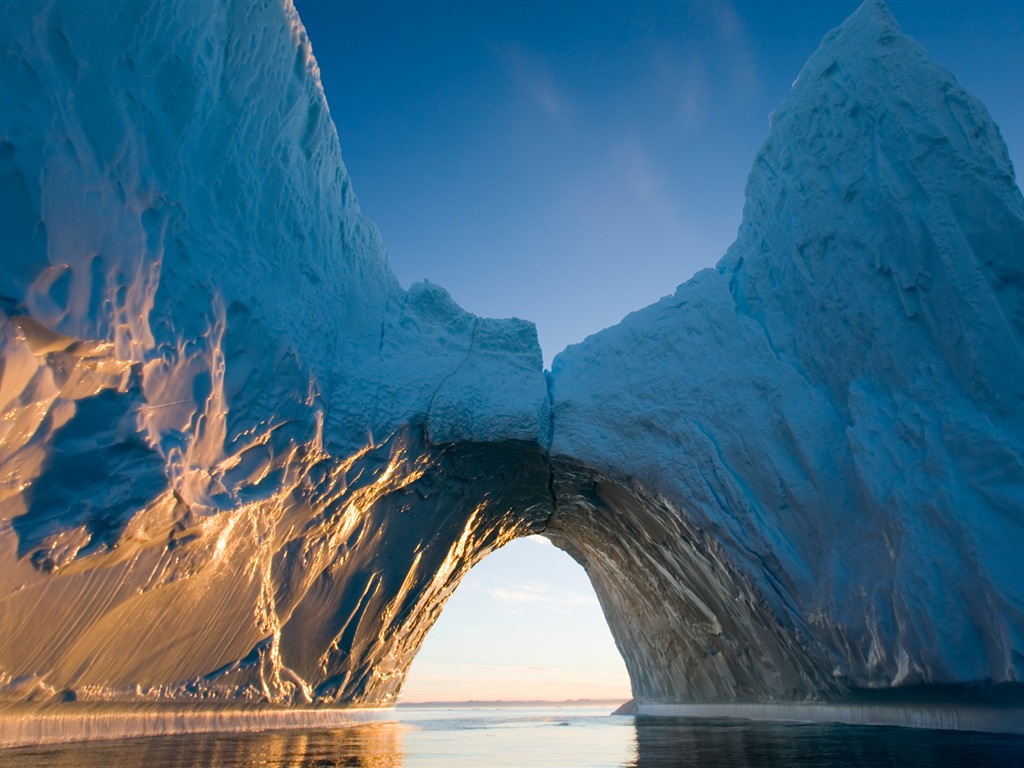 Windows 8 壁纸：北极圈，自然生态风景，北极动物3 - 1024x768