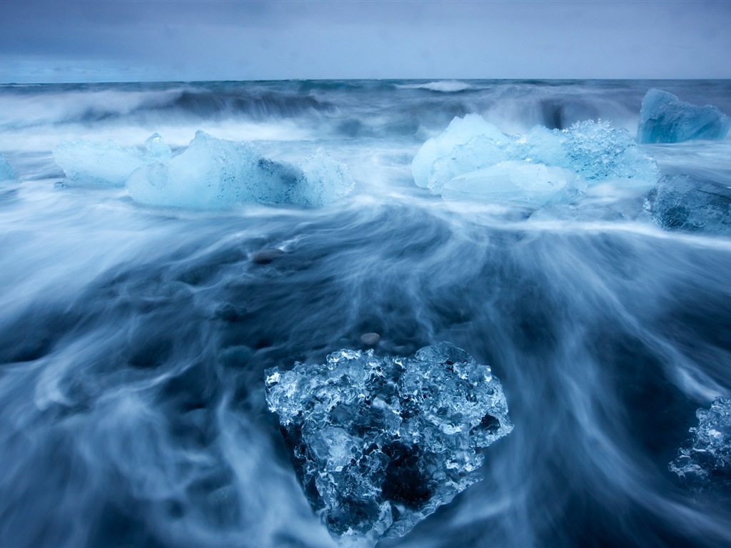 Windows 8 na plochu: Arctic, příroda ekologické krajiny, polární zvířata #9 - 1024x768