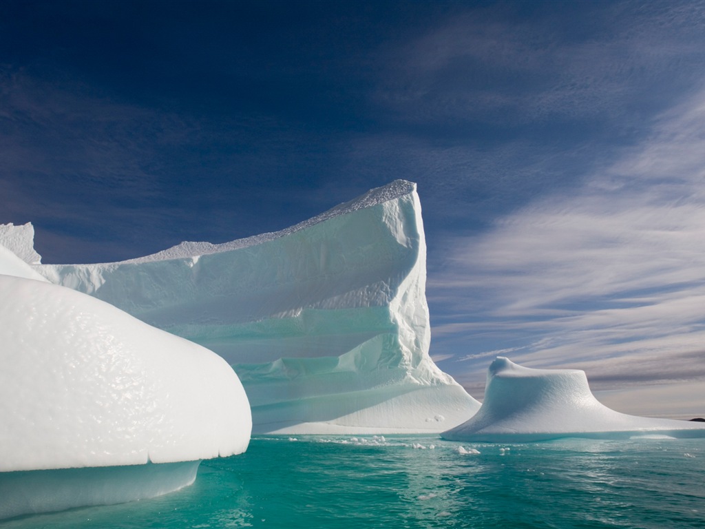 Windows 8 壁纸：北极圈，自然生态风景，北极动物14 - 1024x768