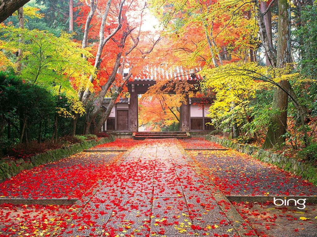 マイクロソフトBing HDの壁紙：日本の風景テーマの壁紙 #1 - 1024x768
