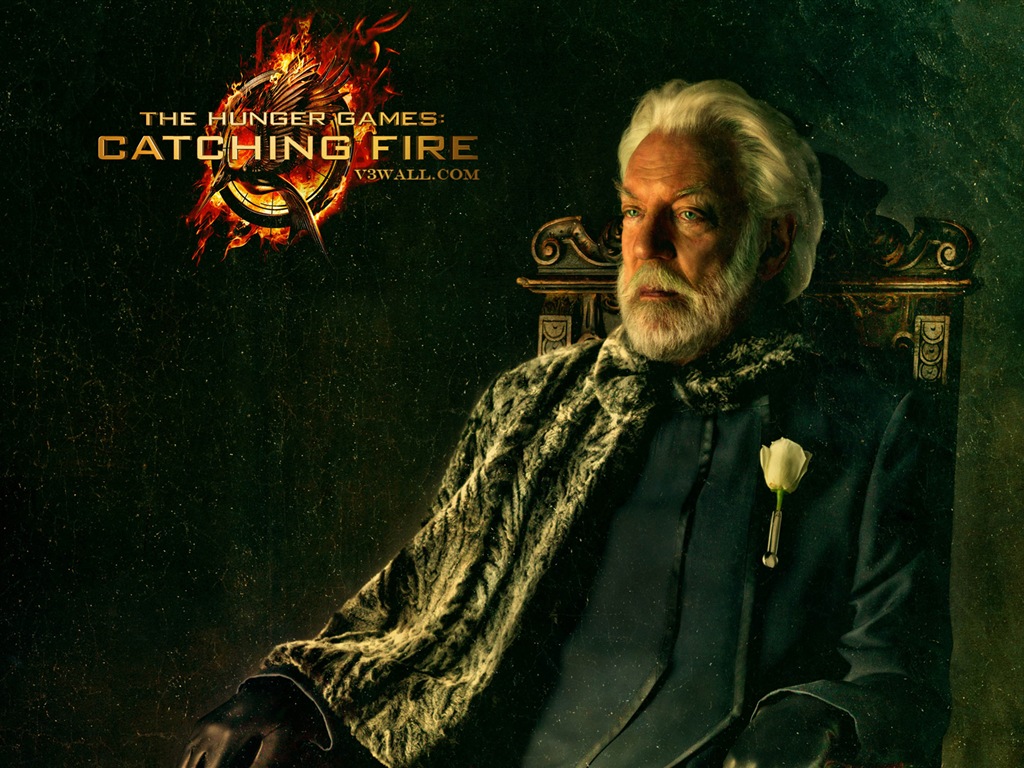 The Hunger Games: Catching Fire 饥饿游戏2：星火燎原 高清壁纸3 - 1024x768