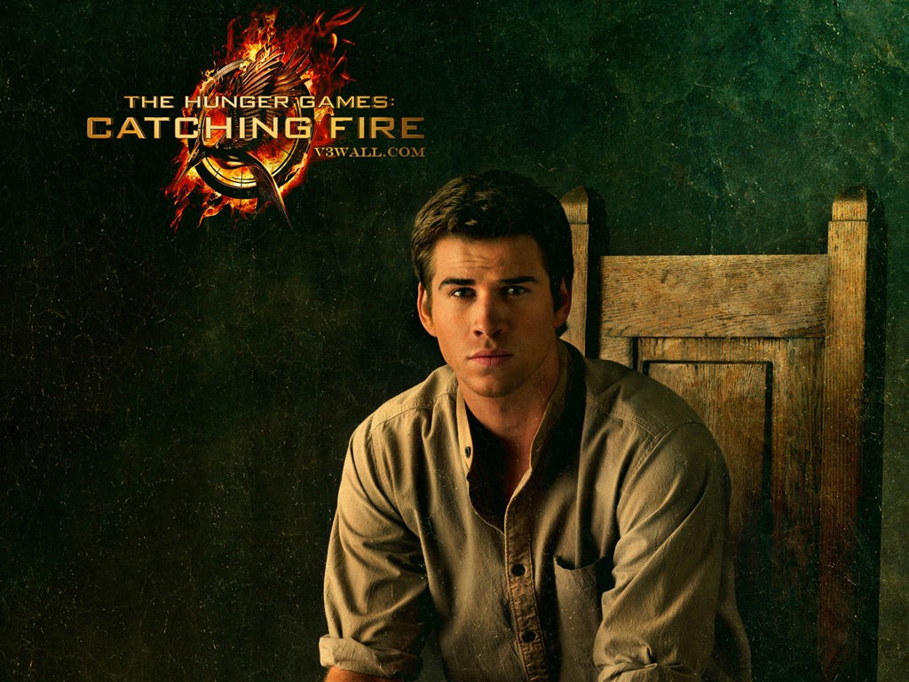The Hunger Games: Catching Fire 饥饿游戏2：星火燎原 高清壁纸9 - 1024x768