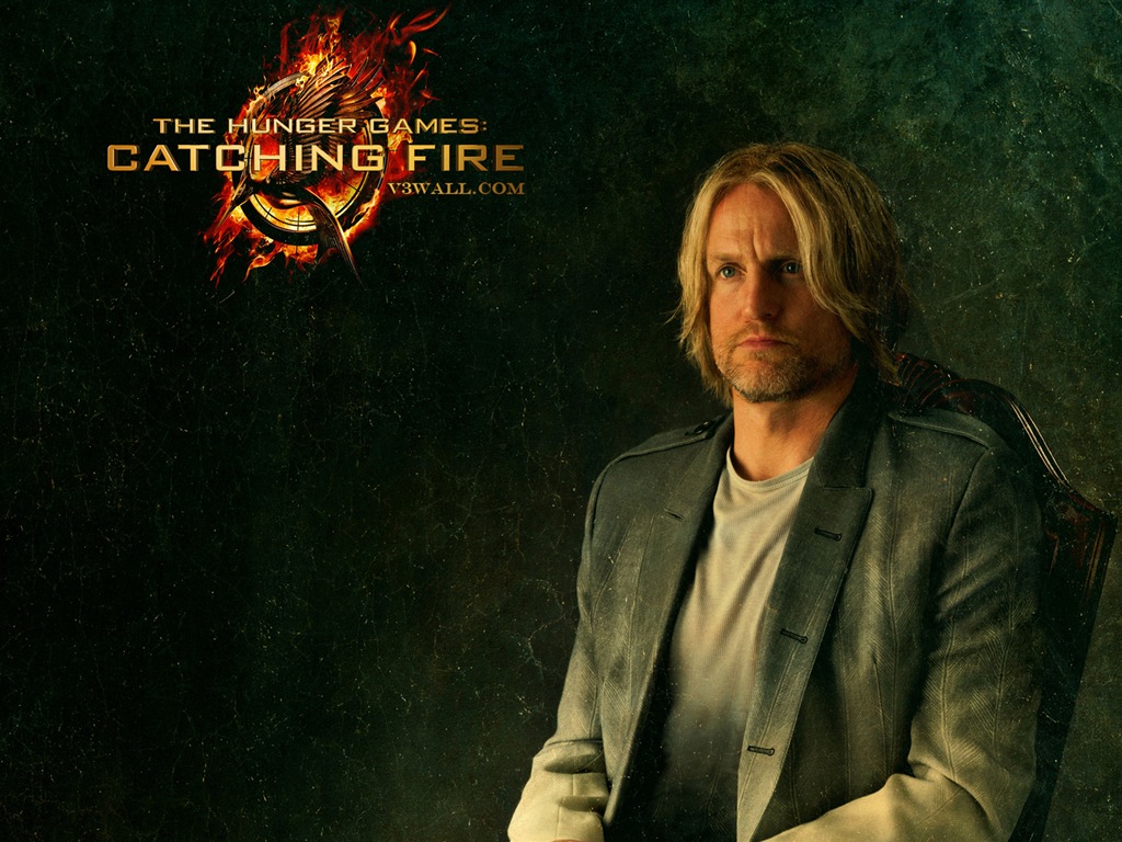 The Hunger Games: Catching Fire 饥饿游戏2：星火燎原 高清壁纸12 - 1024x768