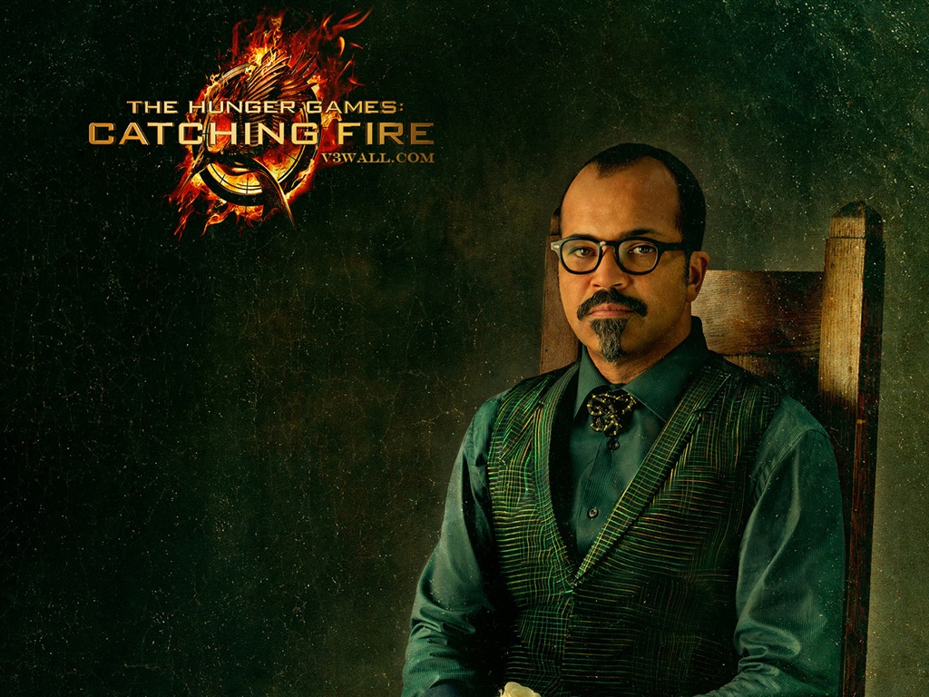 The Hunger Games: Catching Fire 饥饿游戏2：星火燎原 高清壁纸14 - 1024x768