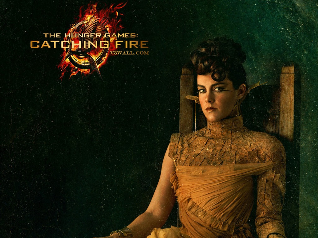 The Hunger Games: Catching Fire wallpapers HD #16 - 1024x768