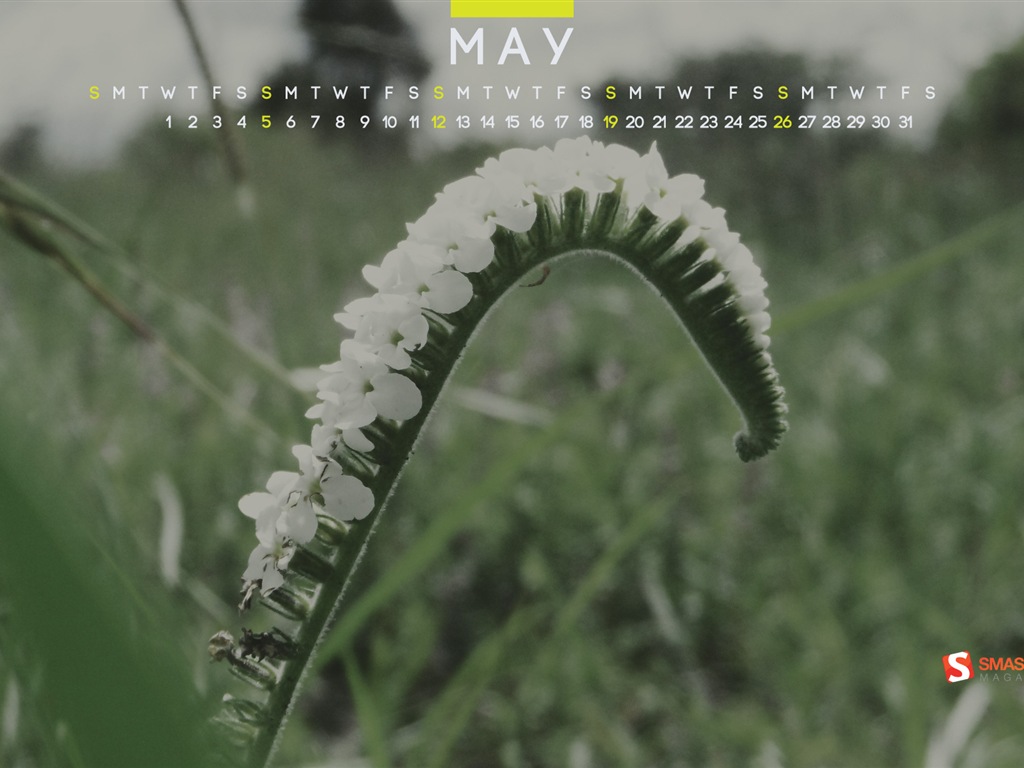 May 2013 calendar wallpaper (2) #13 - 1024x768