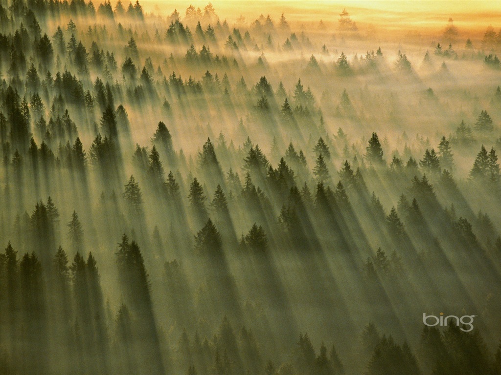 2013 Bing official theme HD wallpapers #26 - 1024x768