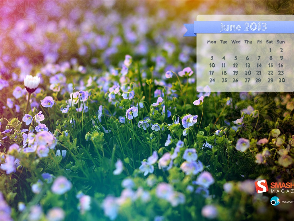 June 2013 calendar wallpaper (2) #14 - 1024x768