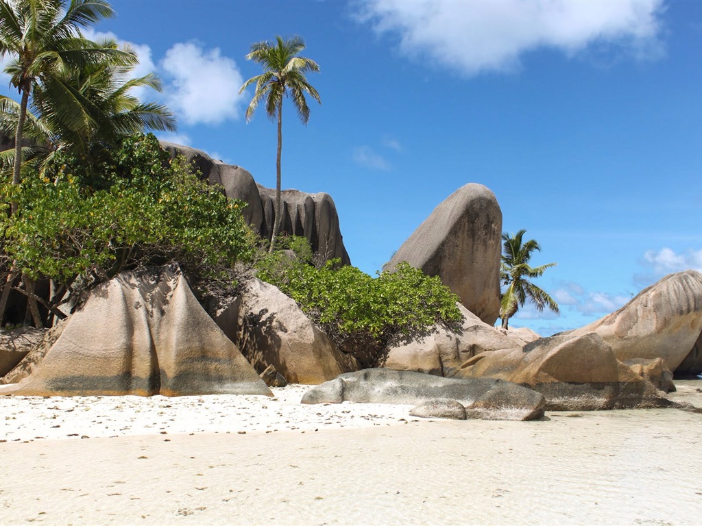 Seychely Ostrov terén HD tapety na plochu #2 - 1024x768