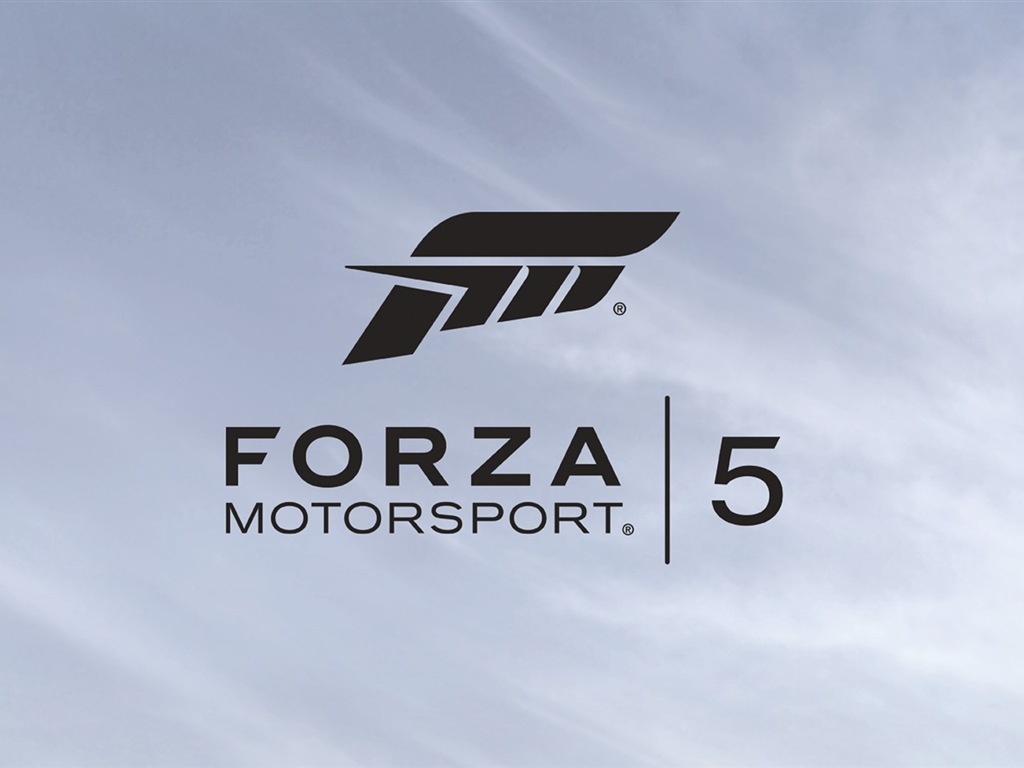 Forza Motorsport 5 极限竞速5 高清游戏壁纸5 - 1024x768