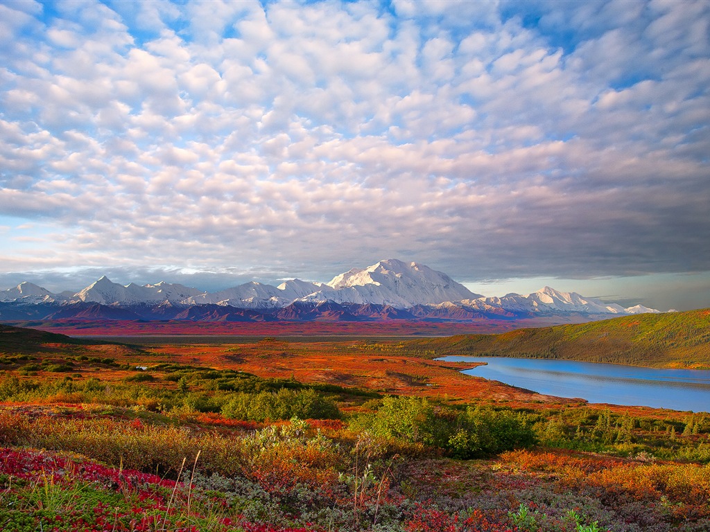 Denali National Park HD landscape wallpapers #1 - 1024x768