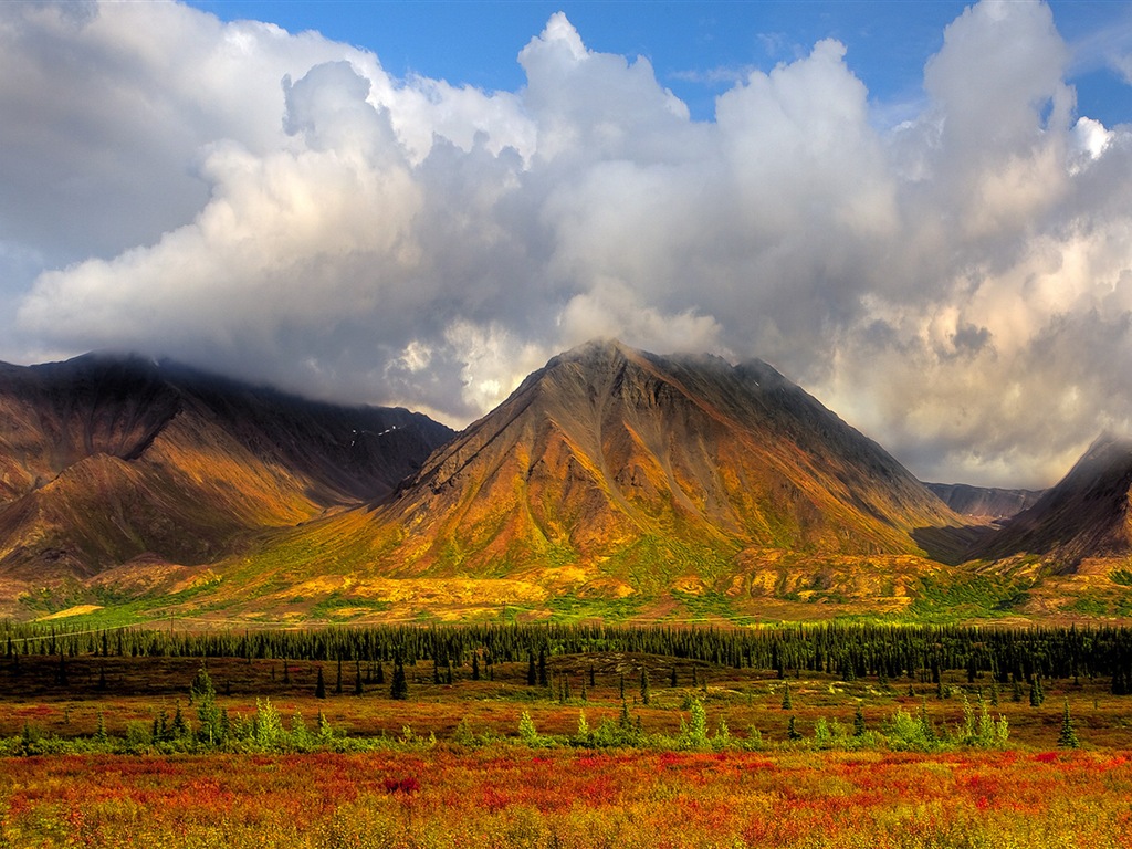 Parque Nacional Denali HD fondos de pantalla paisaje #16 - 1024x768