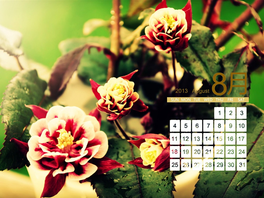 08 2013 calendario fondo de pantalla (1) #18 - 1024x768