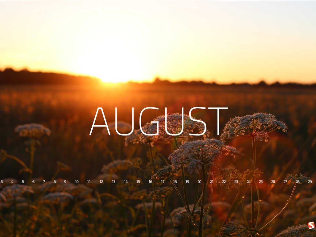 Август 2013 календарь обои (2) #2 - 1024x768