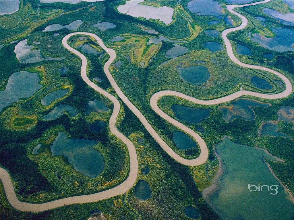 2013 Bing 必應官方動物和風景高清壁紙 #3 - 1024x768