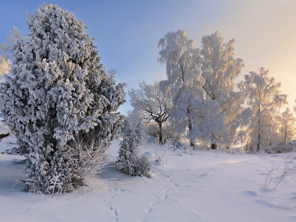 스웨덴 사계절 자연의 아름다움 HD 배경 화면 #19 - 1024x768