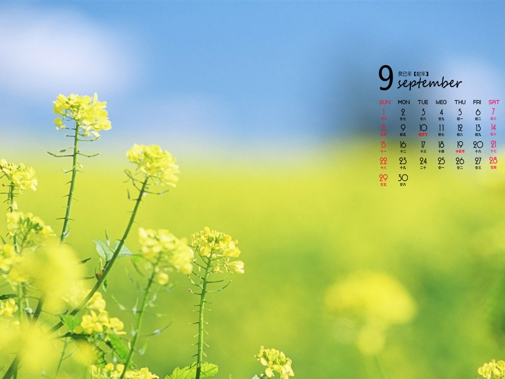 09 2013 Calendar fondo de pantalla (1) #4 - 1024x768