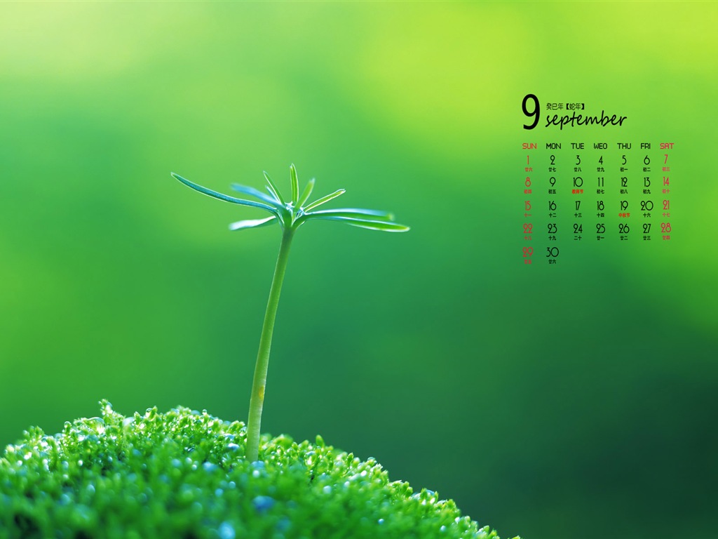 09 2013 Calendar fondo de pantalla (1) #5 - 1024x768