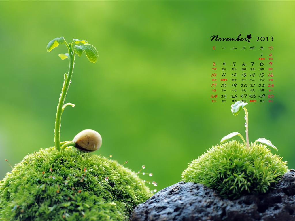 November 2013 Kalender Wallpaper (1) #11 - 1024x768