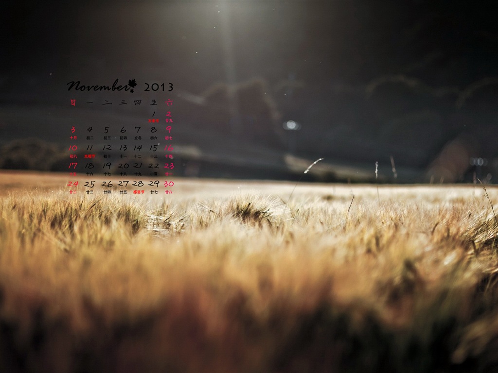 Ноябрь 2013 Календарь обои (1) #12 - 1024x768