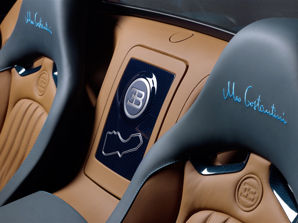 2013 부가티 Veyron의 16.4 그랜드 스포츠 비테세 초차의 HD 배경 화면 #10 - 1024x768