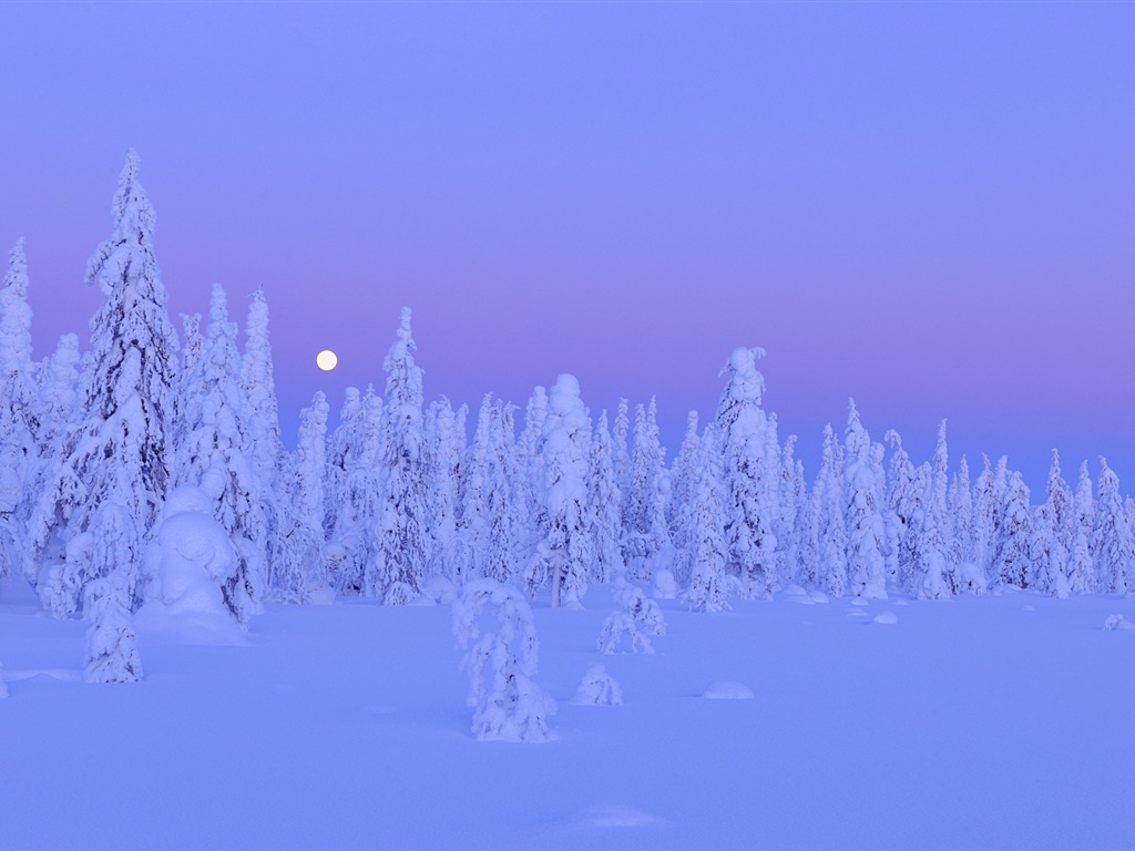 Windows 8 主题高清壁纸：冬季雪的夜景12 - 1024x768