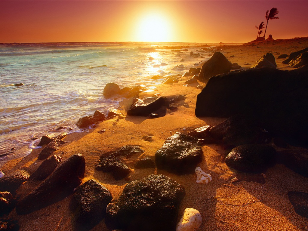 Windows 8 tema de fondo de pantalla: Beach amanecer y el atardecer vistas #1 - 1024x768
