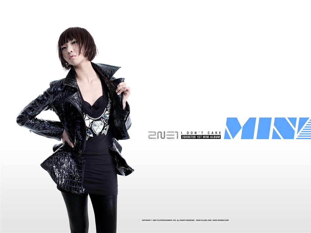 韓国音楽少女グループ2NE1 HDの壁紙 #9 - 1024x768