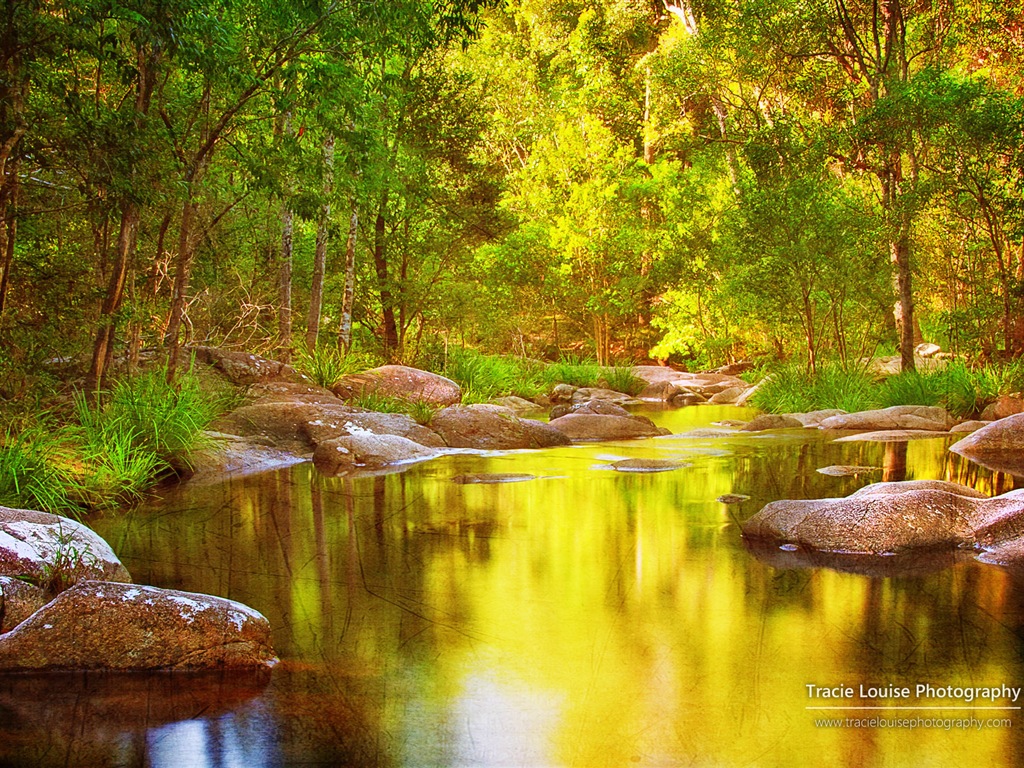 澳大利亞昆士蘭州，風景秀麗，Windows 8 主題高清壁紙 #14 - 1024x768