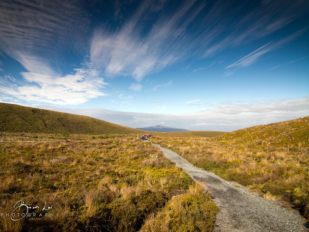 뉴질랜드 북섬의 아름다운 풍경, 윈도우 8 테마 배경 화면 #4 - 1024x768