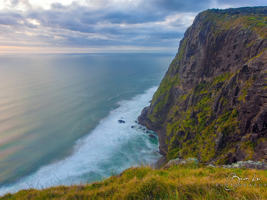 新西兰北岛美丽的风景，Windows 8 主题壁纸7 - 1024x768