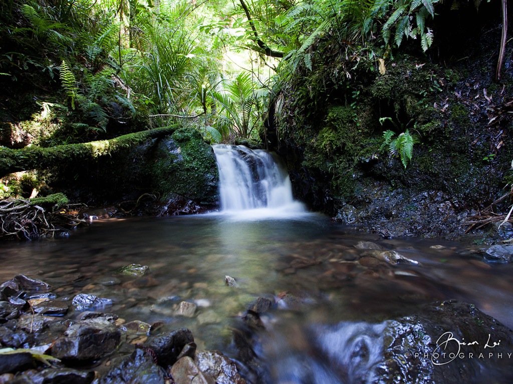 뉴질랜드 북섬의 아름다운 풍경, 윈도우 8 테마 배경 화면 #8 - 1024x768