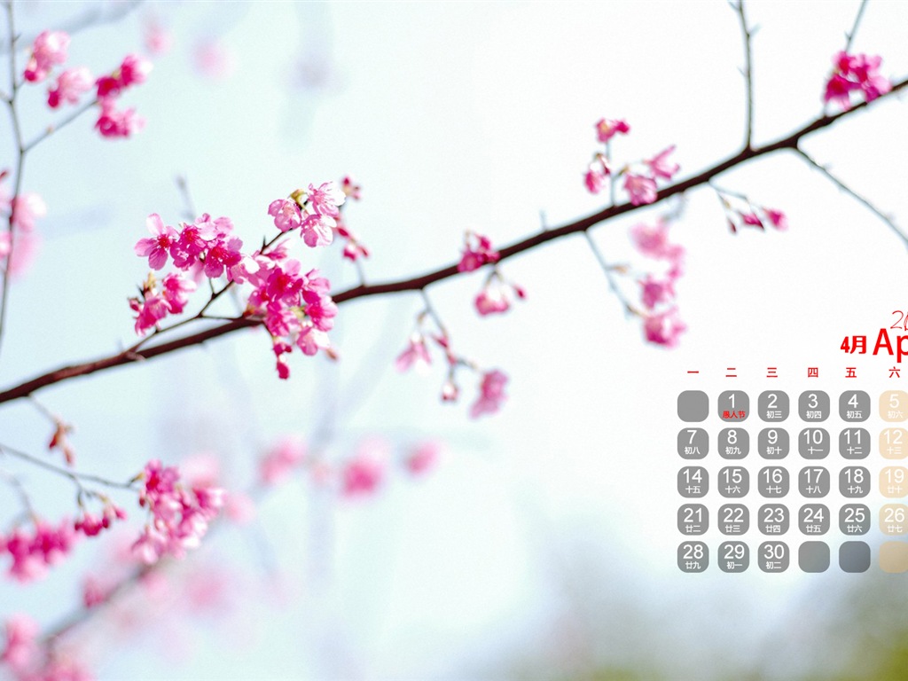 Avril 2014 calendriers fond d'écran (1) #4 - 1024x768