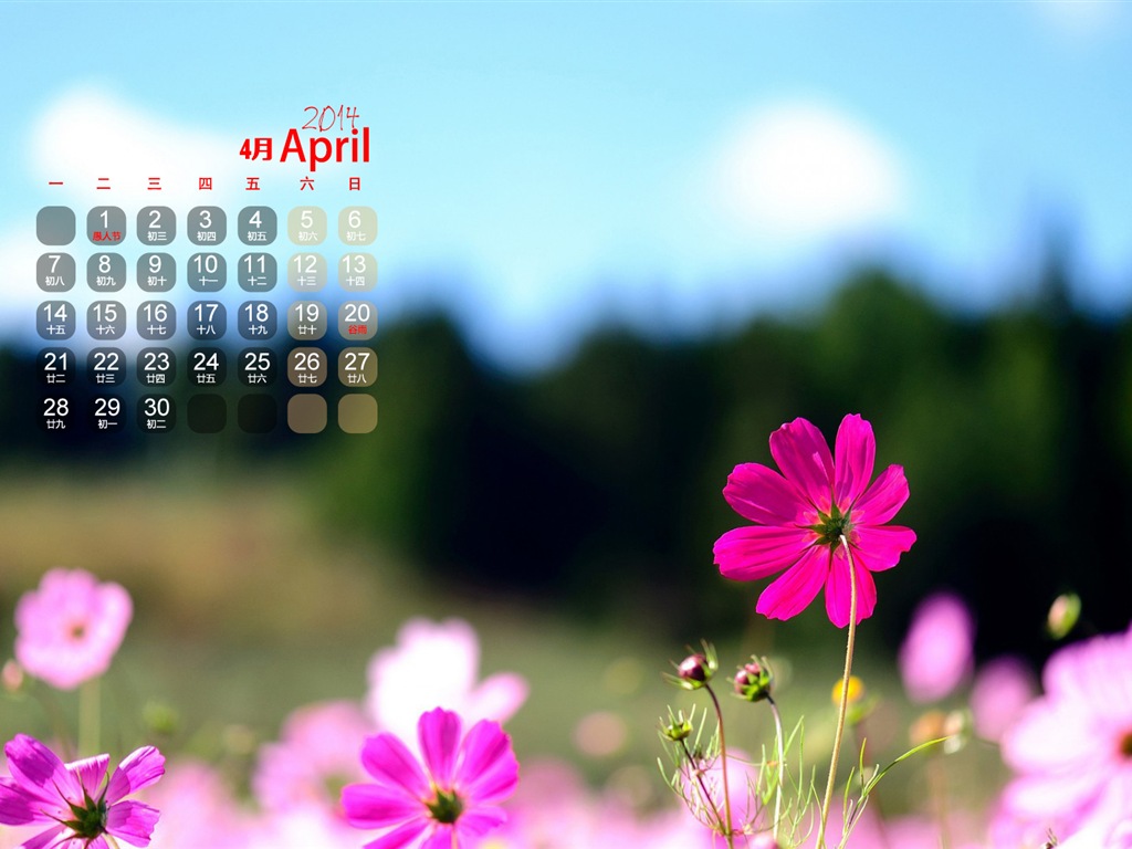 Avril 2014 calendriers fond d'écran (1) #8 - 1024x768