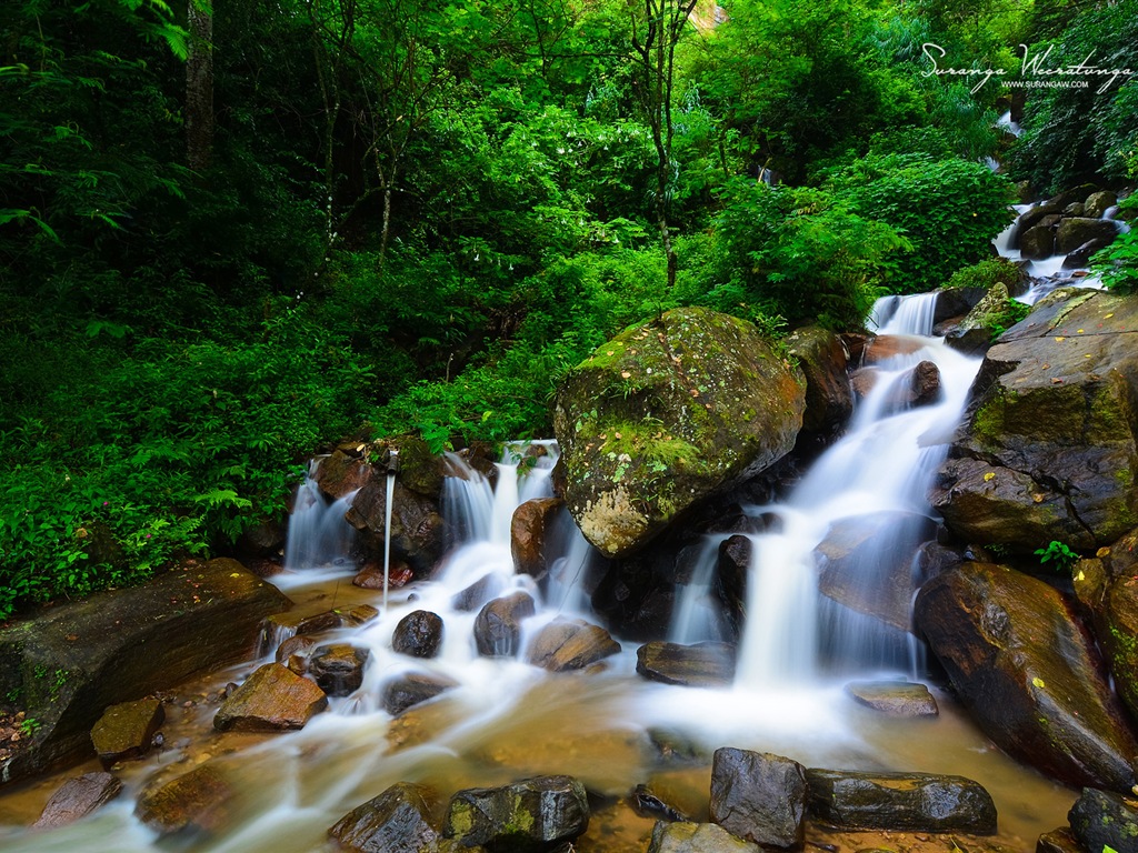 Estilo de paisaje Sri Lanka, Windows 8 tema fondos de pantalla #9 - 1024x768