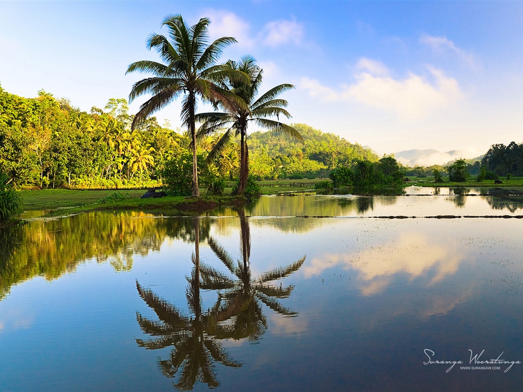 Sri Lanka style de paysage, Windows 8 fonds d'écran thématiques #11 - 1024x768