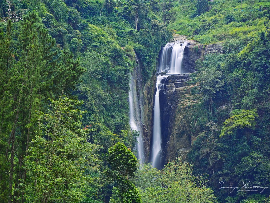 Srí Lanka krajina stylu, Windows 8 téma Tapety na plochu #13 - 1024x768