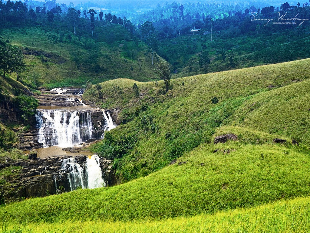 Sri Lanka style de paysage, Windows 8 fonds d'écran thématiques #17 - 1024x768