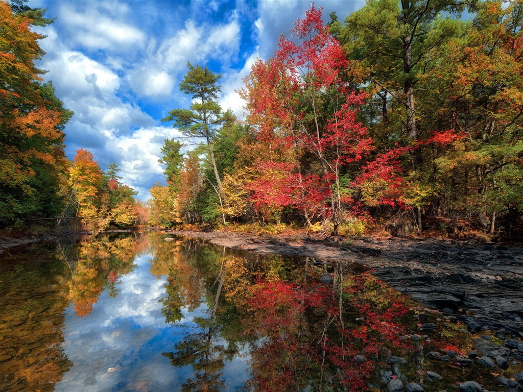 L'eau et les arbres en automne fonds d'écran HD #4 - 1024x768