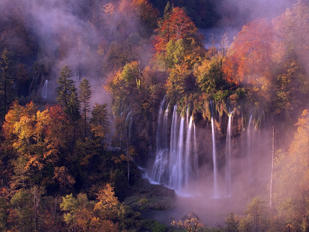 Foggy podzimní listí a stromy HD Tapety na plochu #11 - 1024x768