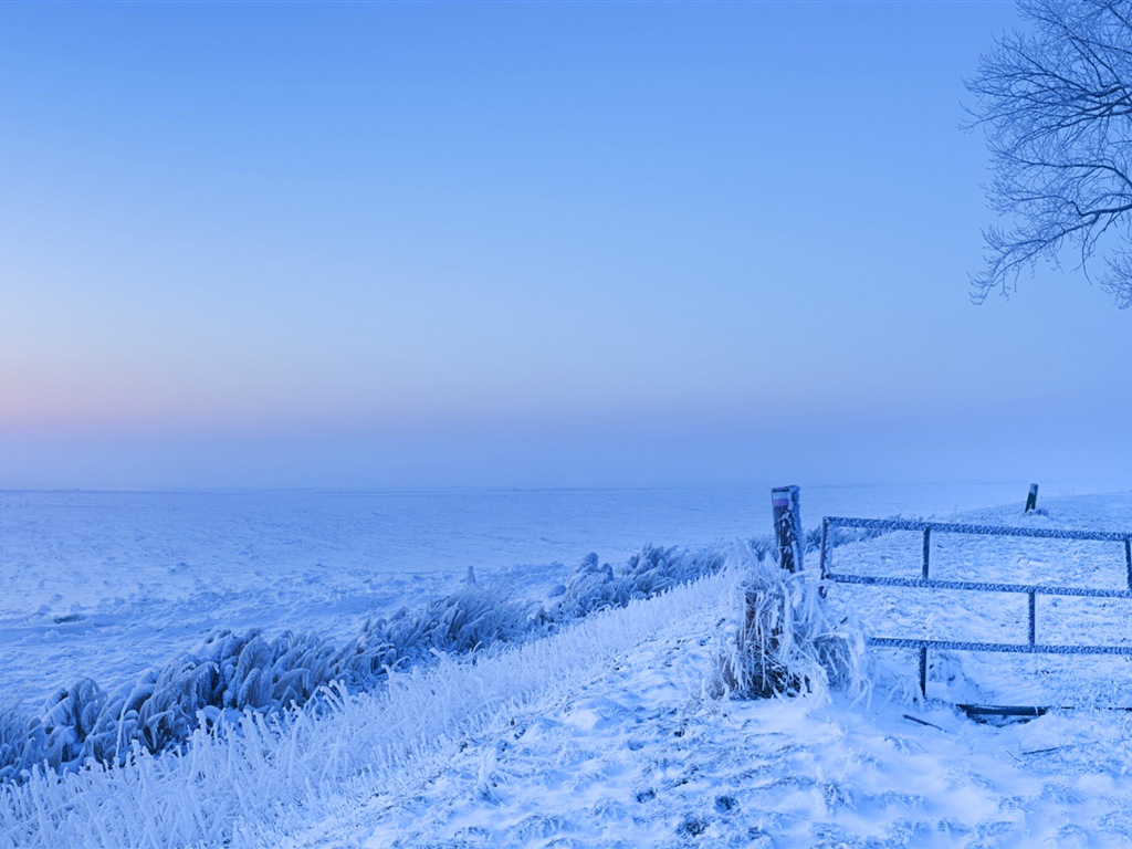 Красивая холодная зима снег, Windows 8 панорамные картинки на рабочий стол #2 - 1024x768