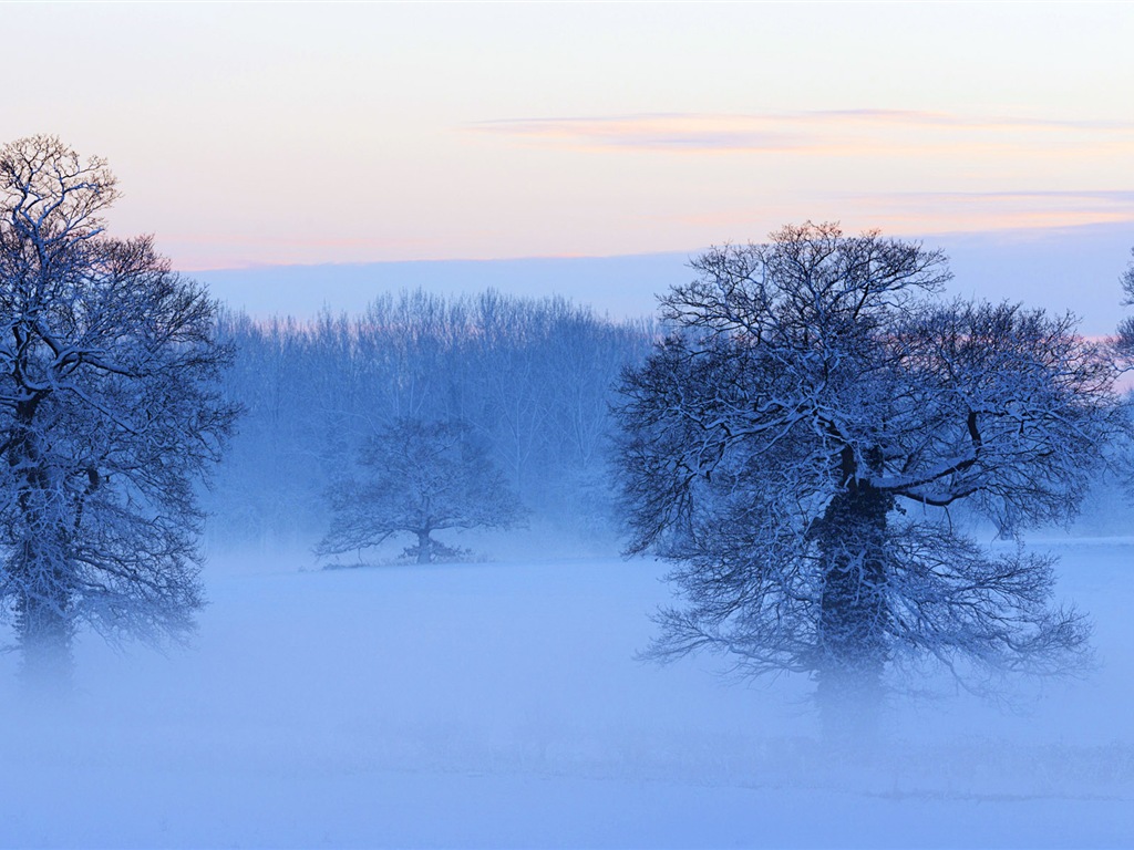 寒冷冬天美丽的雪景，Windows 8 全景宽屏壁纸6 - 1024x768