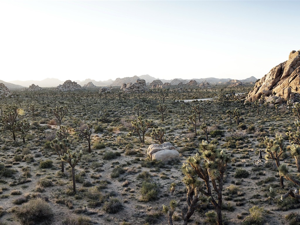 Горячие и засушливые пустыни, Windows 8 панорамные картинки на рабочий стол #9 - 1024x768