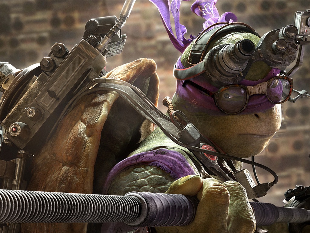 2014 fondos de pantalla de la película Teenage Mutant Ninja Turtles HD #3 - 1024x768